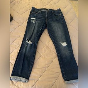 Loft jeans curvy skinny 12/31